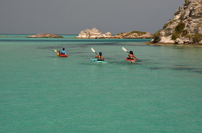 Kayak Eco Tour - Who will enjoy this eco-tour most?
