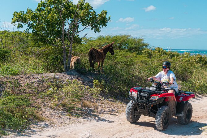 Lets Ride Adventures ATV Tour in Grand Turk - The beach stop, usually the trip’s best break
