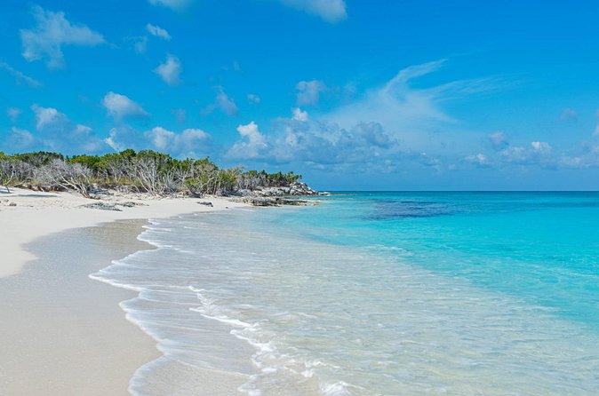 Mangrove Cay and Iguana Island Tours - How much wildlife can you really see?