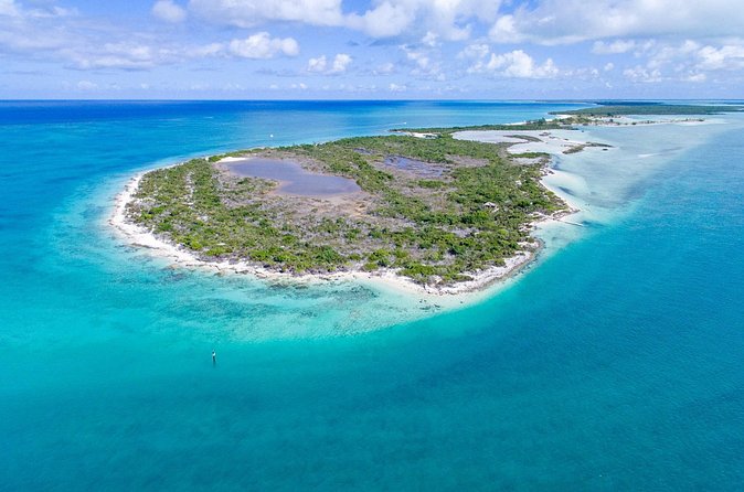 Mangrove Cay and Iguana Island Tours - What the guides add to the experience
