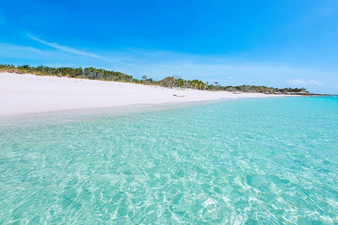 Mangrove Cay and Iguana Island Tours - What to pack and what to expect
