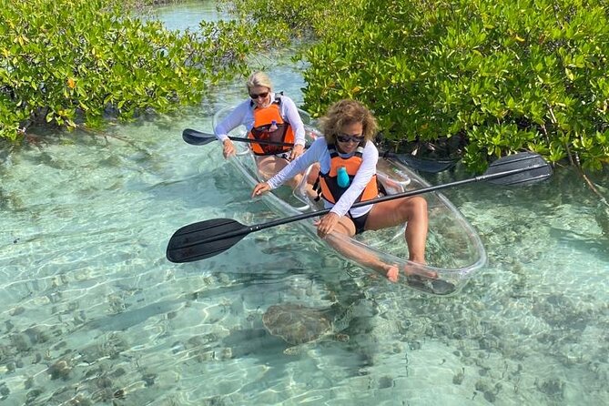 Mangrove Cay And Iguana Island Venture In Turks And Caicos Island - The tugboat tow saves your energy