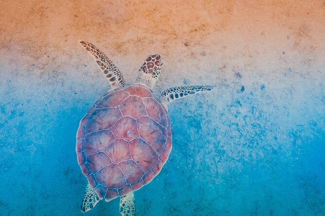 Mangrove Cay And Iguana Island Venture In Turks And Caicos Island - Timing, pickup, and the risk of a late start