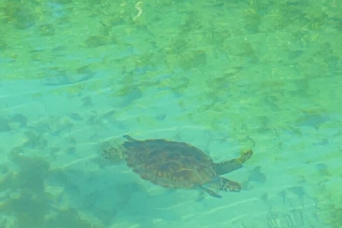 Mangrove Cay And Iguana Island Venture In Turks And Caicos Island - When the experience works best