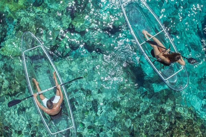 Mangrove Cay Tour - Key points at a glance