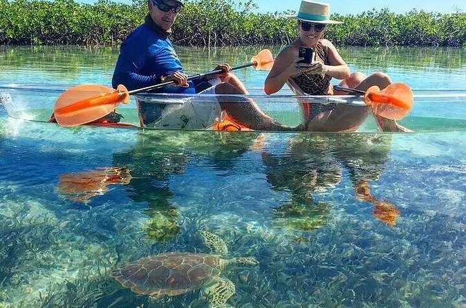 Mangrove Cay Tour - Is $130 a fair price?