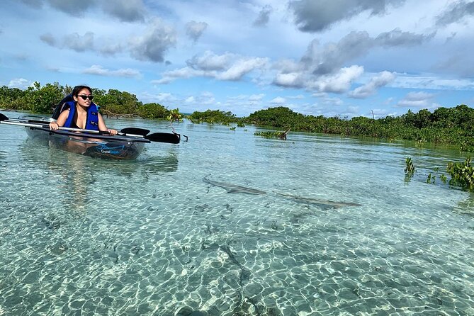 Mangrove Clear Kayak Tour - Why Mangrove Cay feels different from a beach outing
