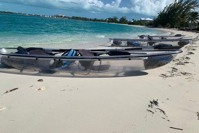 Mangrove & Iguana Clear Kayak Tour - Why the clear kayak matters at Mangrove Cay