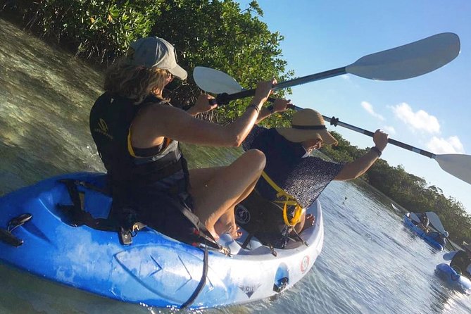 Mangroves Kayak Tour - Key points to know before you book