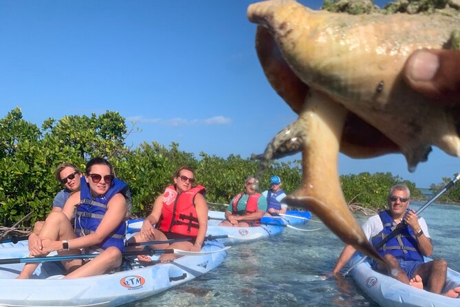Mangroves Kayak Tour - Tide timing is a real part of the itinerary