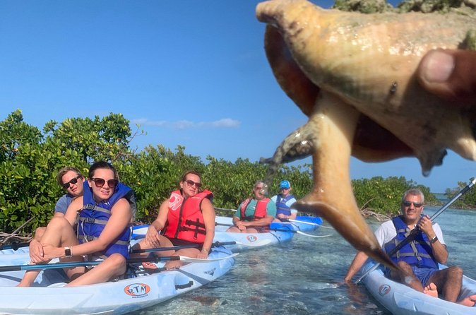 Mangroves Kayak Tour - What to bring and how to prepare