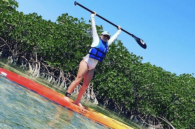 Mangroves Stand-Up Paddleboard Tour - Wildlife is the reason to choose this tour