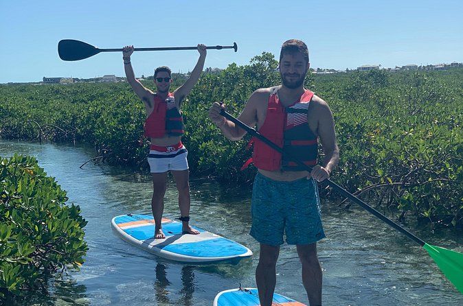 Mangroves Stand-Up Paddleboard Tour - Timing: morning, afternoon, or evening