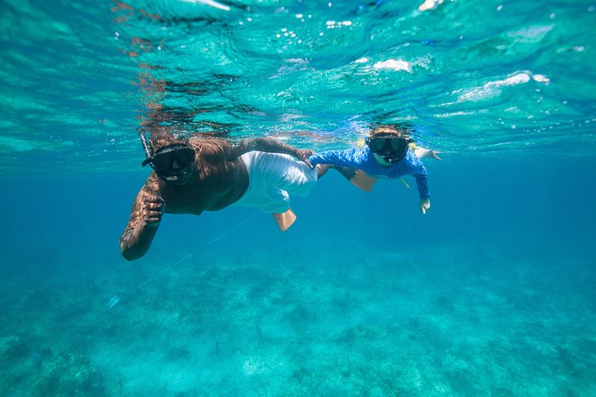 Morning Half Day Cruise from Providenciales with Snorkeling and Iguana Island - Should You Book the Providenciales Morning Cruise?