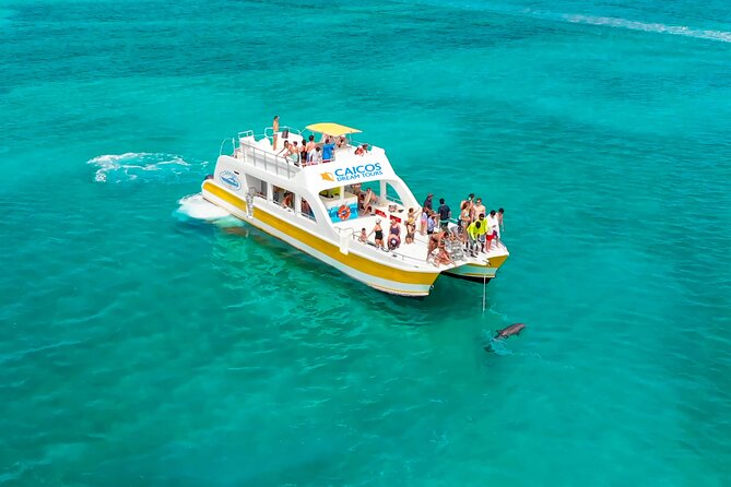 Morning Half Day Cruise from Providenciales with Snorkeling and Iguana Island - Iguana Island and the Endangered Rock Iguanas