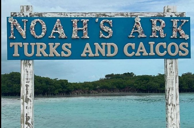 Noahs Ark Catamaran Trip - Timing problems to plan around
