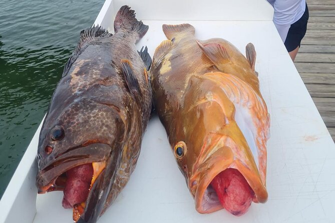 Private 1/2 Day Afternoon Bottom Fishing Charter on "Shady Grady" - Meeting Shady Grady at Turtle Cove Marina