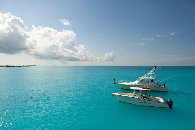Private 1/2 Day Afternoon Bottom Fishing Charter on "Shady Grady" - What four hours of bottom fishing really means