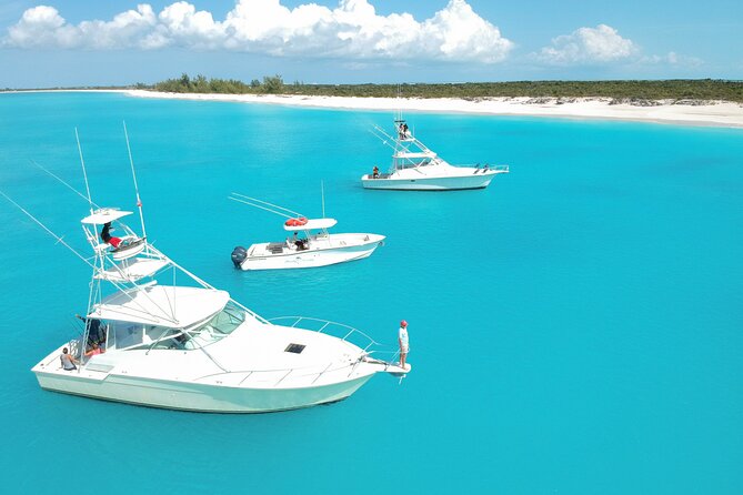 Private 1/2 Day Afternoon Charter Deep Sea Fishing on Wahooter's - Should you book Wahooters?