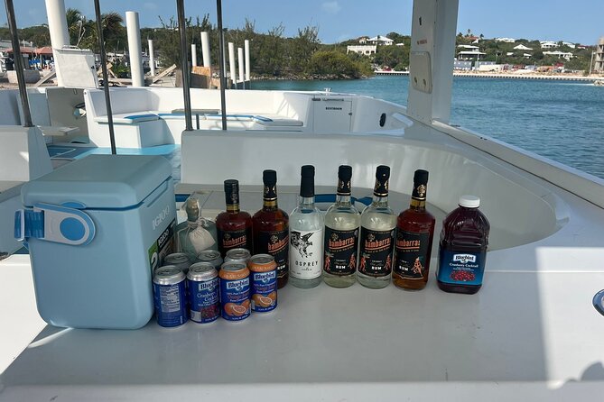 Private Boat Tour with Snorkeling and Beach BBQ - Beach BBQ with fish, lobster, and rum