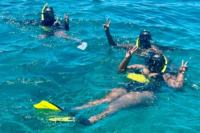 Private Boat Tour with Snorkeling and Beach BBQ - Little Water Cay and its rock iguanas