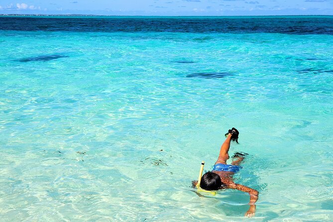 Private Boat Tour with Snorkeling, Island Hopping, and Noahs Ark - Sandbars, sand dollars, and the best use of your time