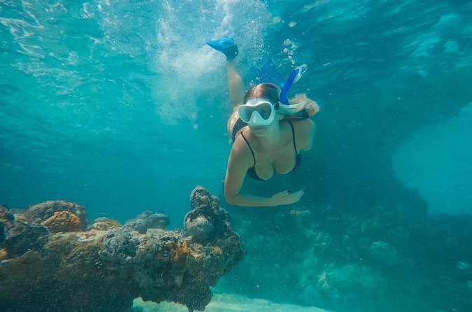 Private Half Day Luxury Snorkeling Charter - Is $1,800 a fair price?