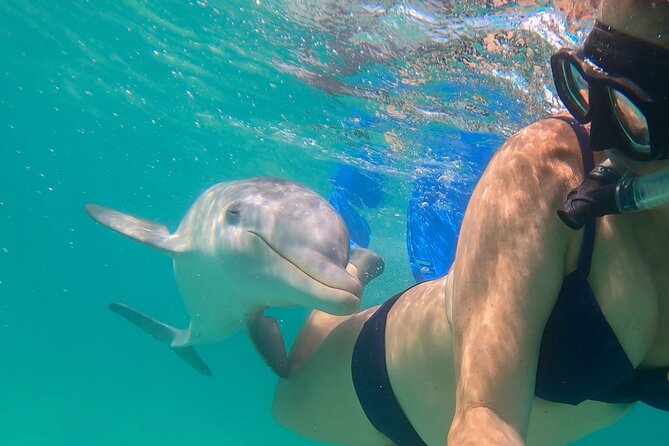 Private Reef, Beach and Sandbar Tour from Providenciales - What the $1,942.08 group price really means