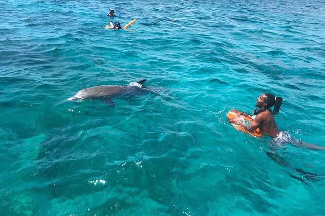 Private Reef, Beach and Sandbar Tour from Providenciales - Half Moon Bay and the native rock iguanas