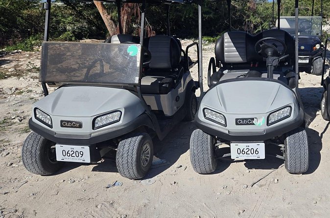 R & B Golf Cart and Car Rental - Why the port location matters on a cruise day