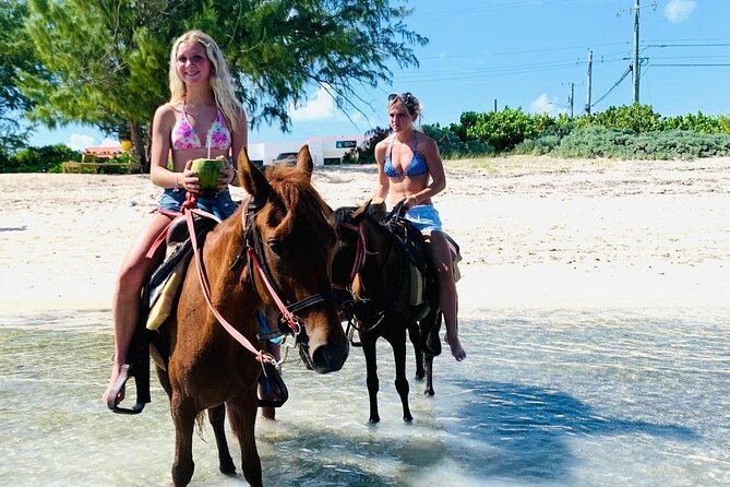 Shared Horseback Riding in Turks and Caicos - Along the sandy shore with the sea beside you