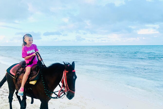 Shared Horseback Riding in Turks and Caicos - Who should book this beach ride?