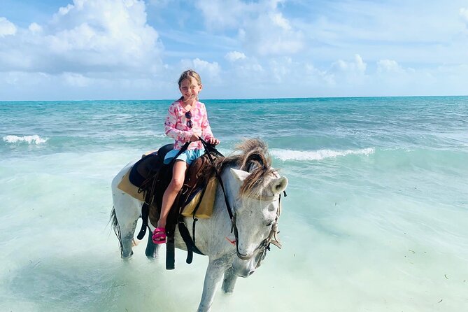Shared Horseback Riding in Turks and Caicos - A short lesson before the horses reach the beach