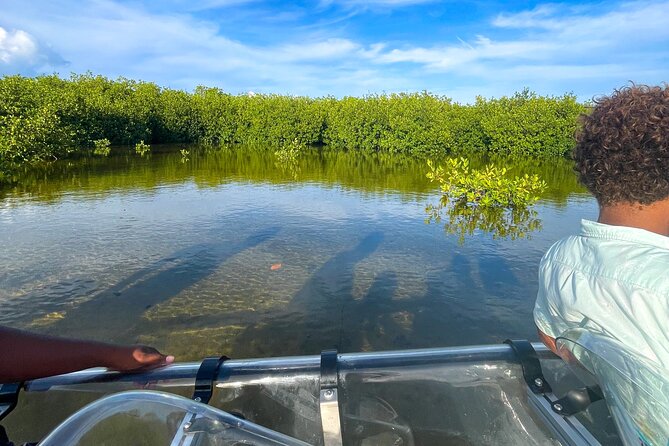 Sip & Sea Mangrove Glass Boat Tour Grand Turk Island - A look at Grand Turk Lighthouse