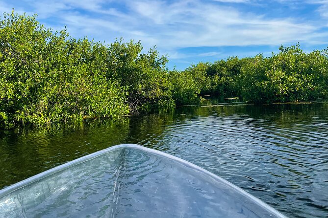 Sip & Sea Mangrove Glass Boat Tour Grand Turk Island - What the private format means