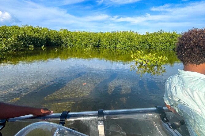 Sip & Sea Mangrove Glass Boat Tour Grand Turk Island - Is $105 a fair price?
