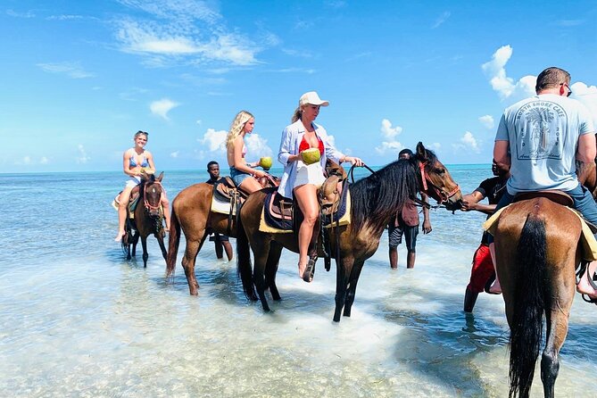 Small Group Horseback Riding Adventure in Caicos Islands - Starting at Malcolm Road in Wheeland Settlement