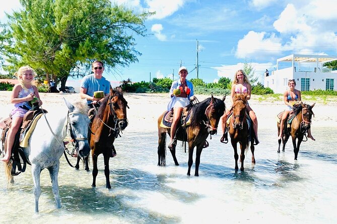 Small Group Horseback Riding Adventure in Caicos Islands - Riding beside the turquoise water