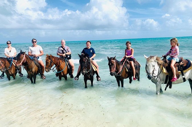 Small Group Horseback Riding Adventure in Caicos Islands - What the public beach setting is really like