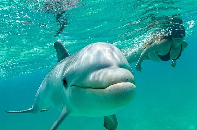 Snorkel Eco Tour - Snacks, drinks, and the gear you actually need