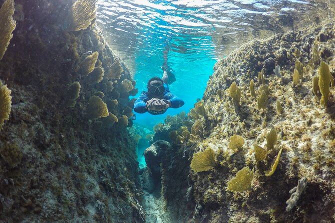 Snorkel Eco Tour - Is $366 a fair price?