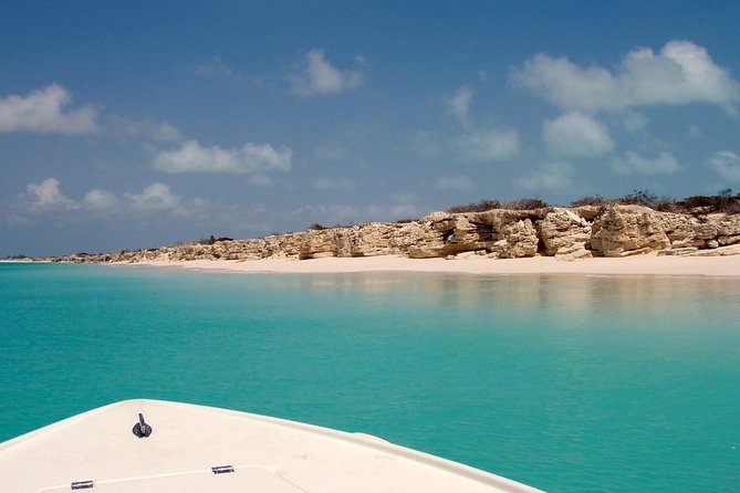 Snorkel Eco Tour - The wildlife is the reason to choose this trip