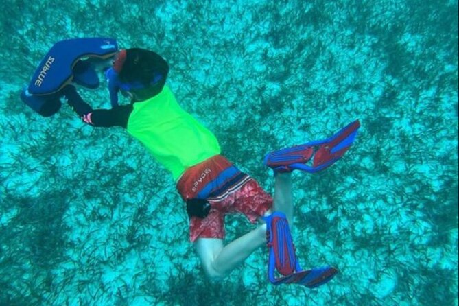 Snorkeling with Sea Scooters and Sea Adventure - Offshore - Weather, cancellations, and timing
