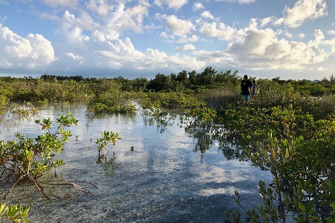 Snuba Adventure at Emerald Reef - Who will enjoy this most