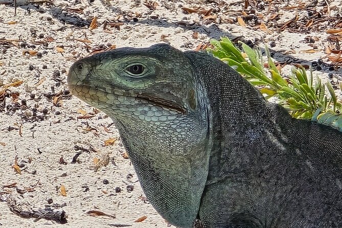 Snuba Adventure at Emerald Reef - Emerald Reef gives you more than a surface view