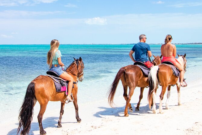 Spectacular Private Beach & Ocean Ride in Providenciales - Meeting the horses and learning the basics