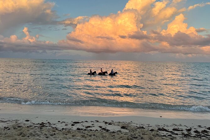 Sunset Horse Ride Experience - The shallow-water section and photo stop