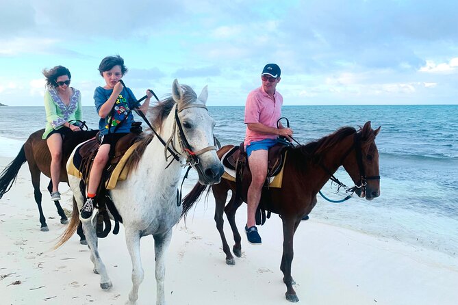 Sunset Horse Ride Experience - Who will enjoy this ride most