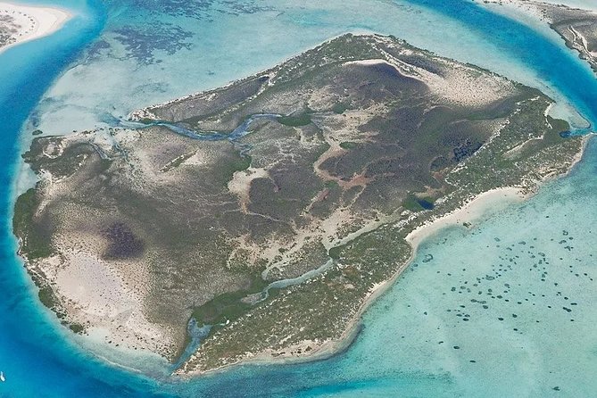Turtle Eco Tour on Stand-Up Paddleboards or Kayaks into the National Marine Park - Who should book this eco tour?