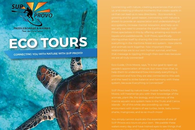 Turtle Eco Tour on Stand-Up Paddleboards or Kayaks into the National Marine Park - Following the wildlife through the mangroves
